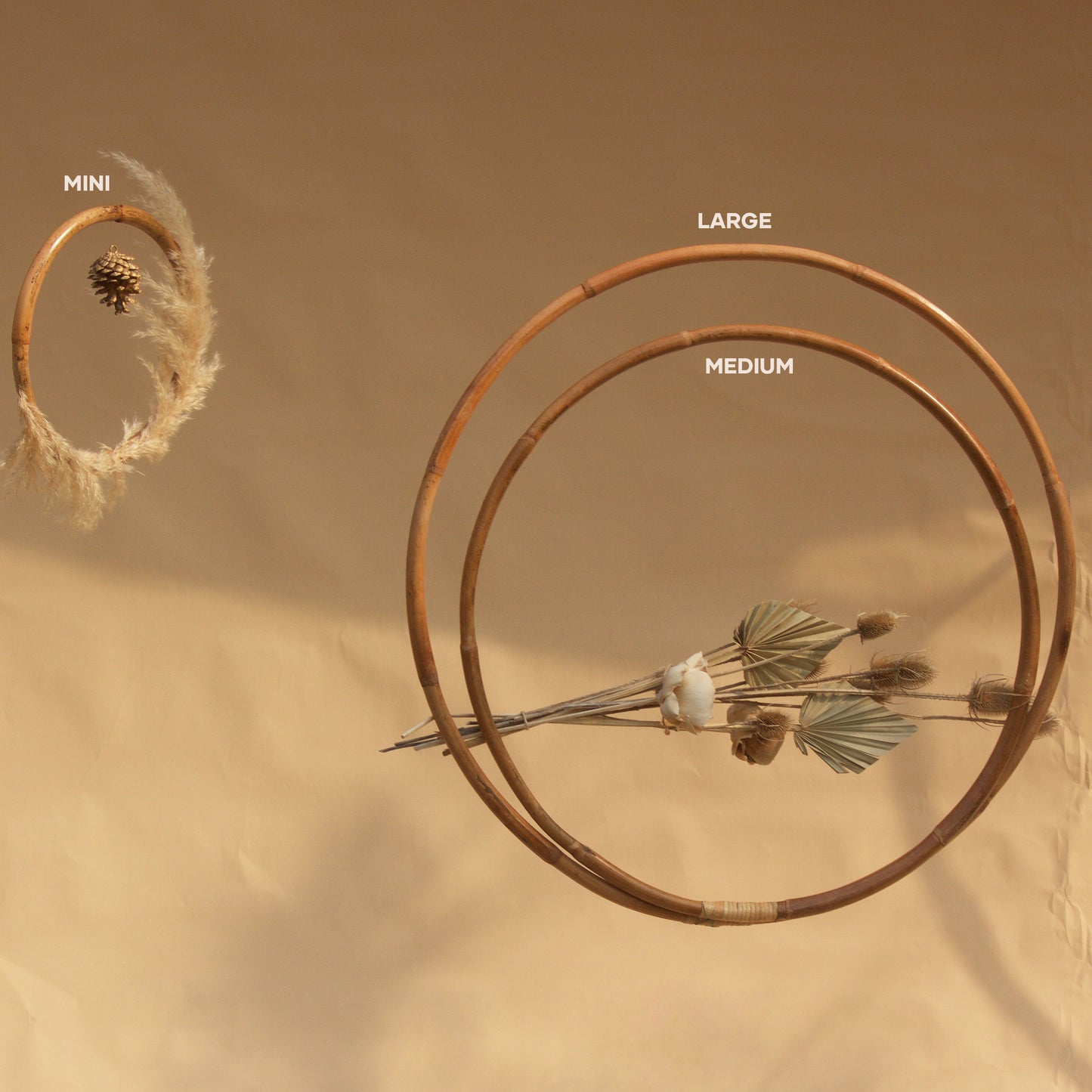 Hoops - Mini & Small